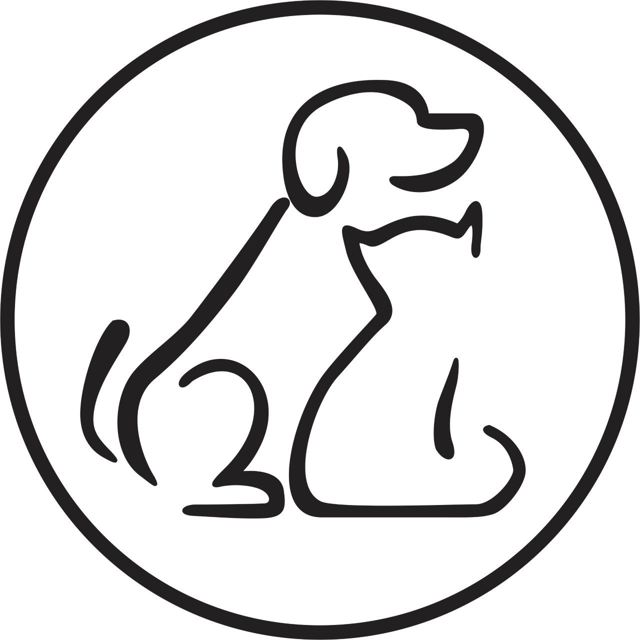 St. Marys Minor Soccer site by RAMP InterActive